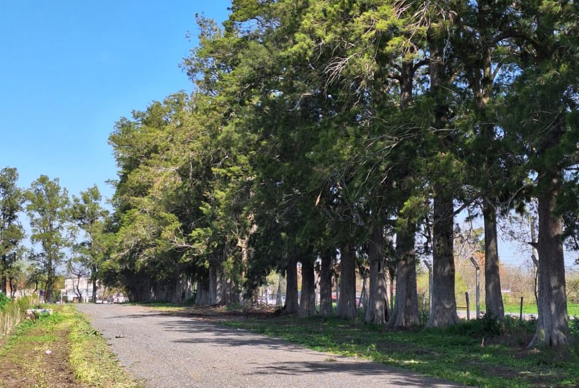 Lote en venta barrio cerrado "Los Pinares"