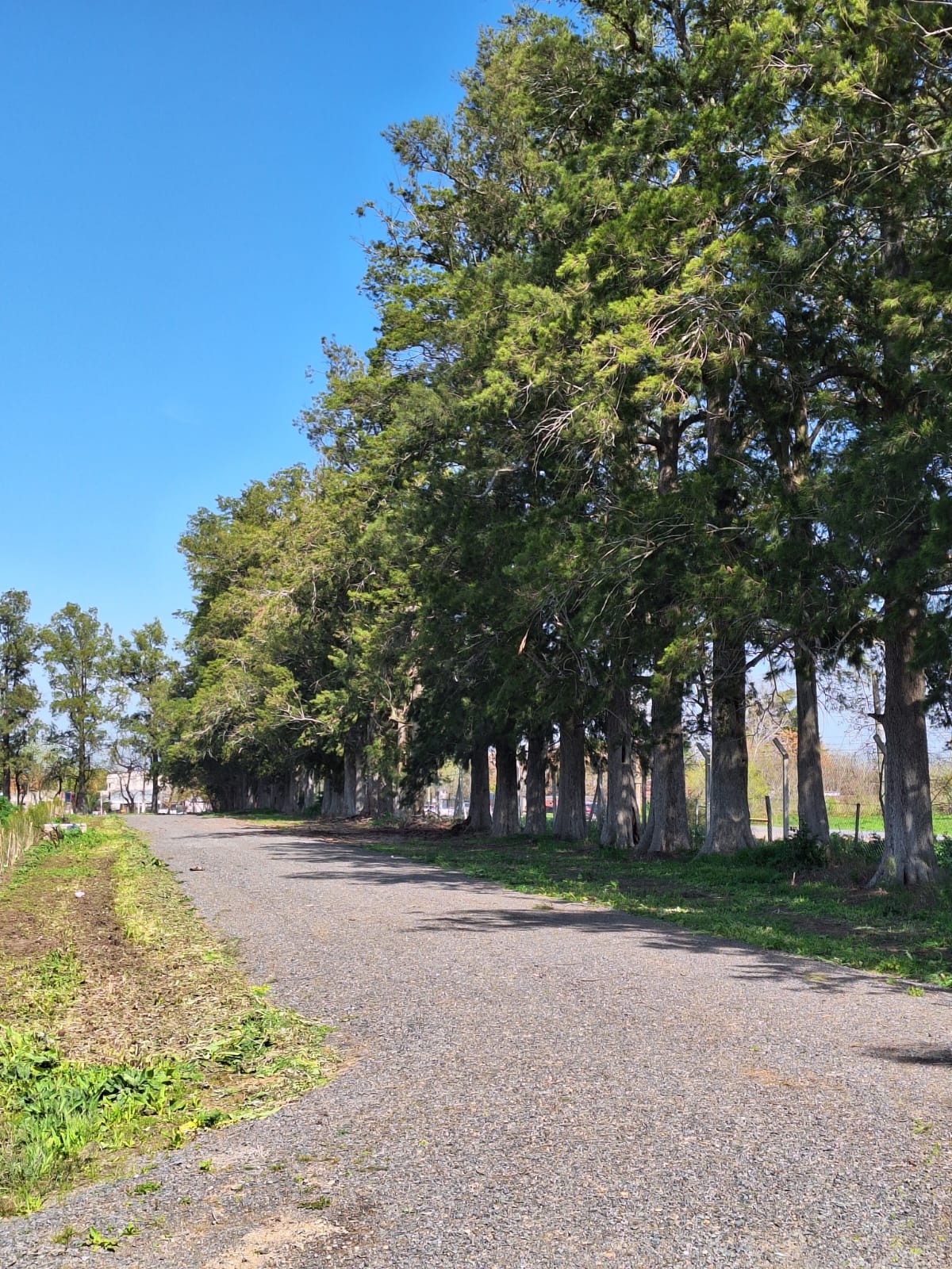 Lote en venta barrio cerrado "Los Pinares"