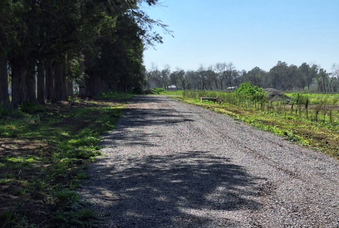 Lote en venta barrio cerrado "Los Pinares"