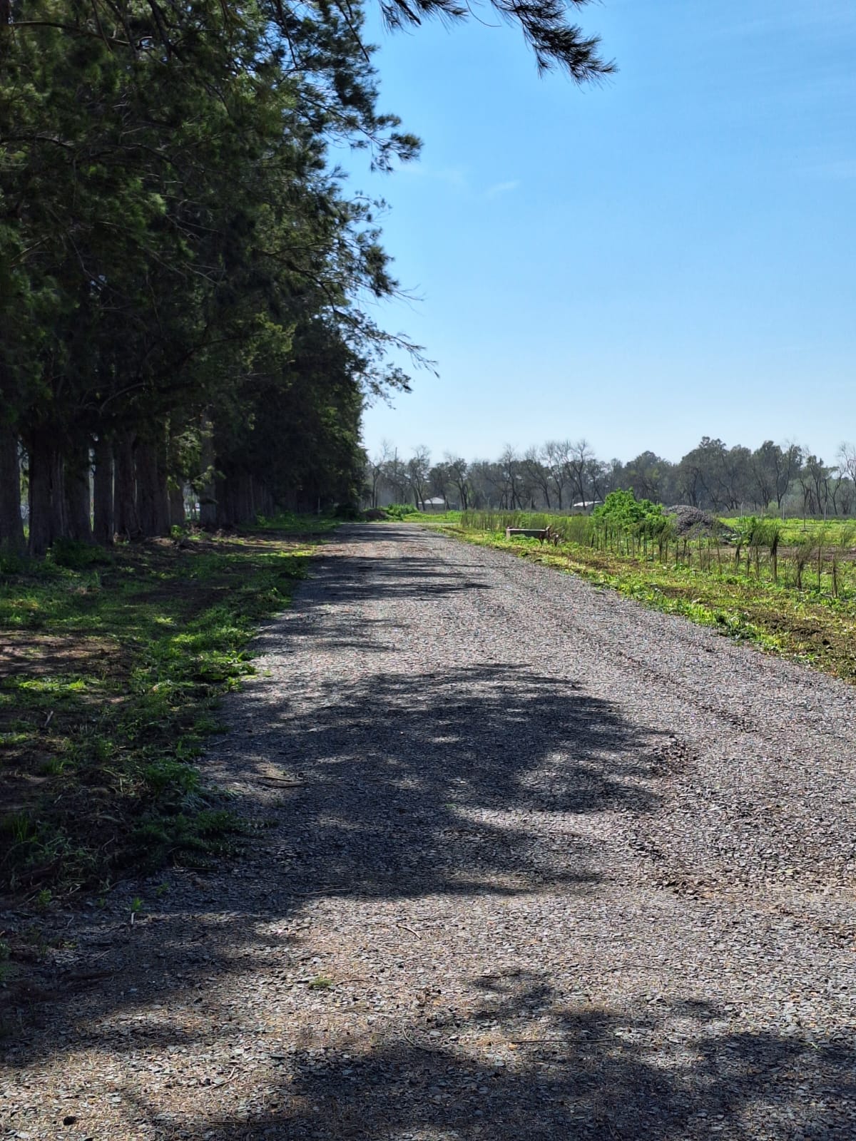 Lote en venta barrio cerrado "Los Pinares"