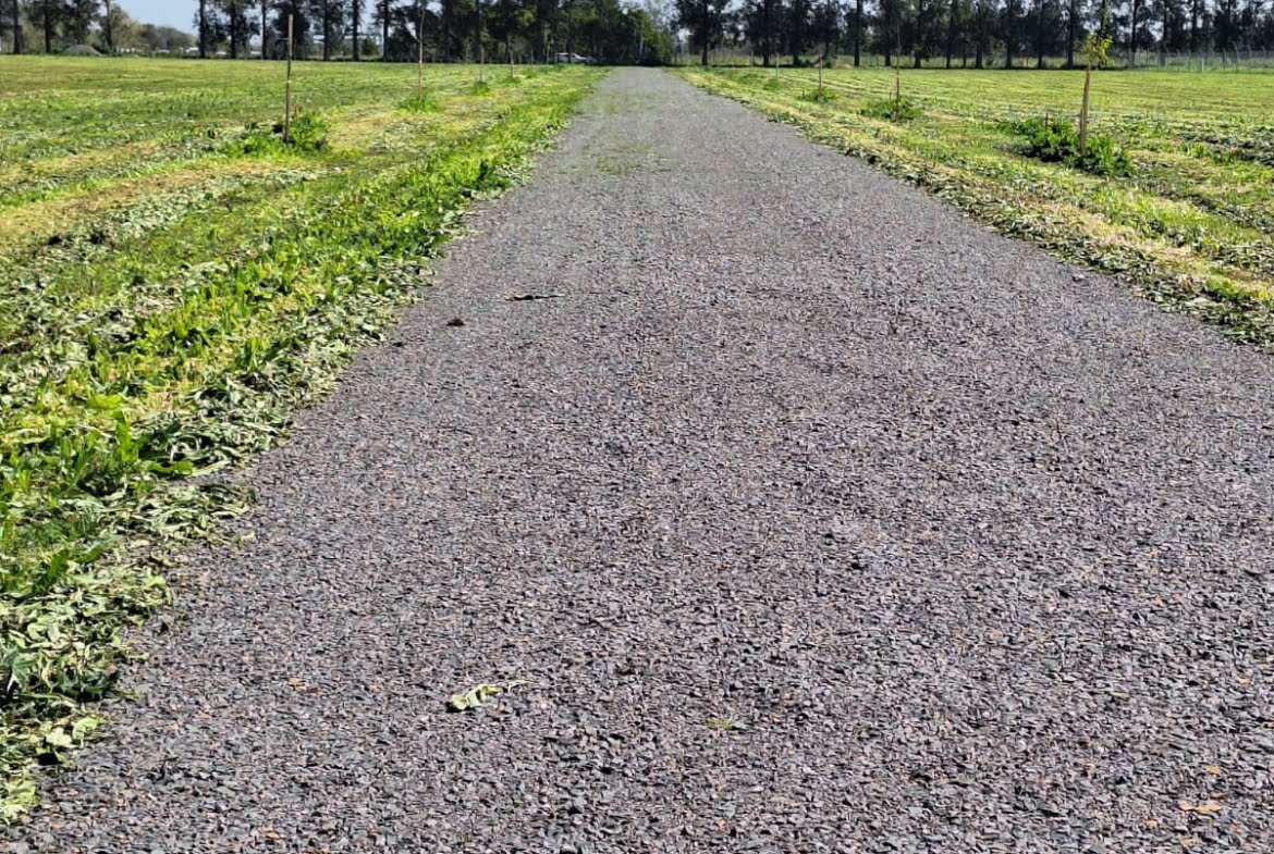 Lote en venta barrio cerrado "Los Pinares"