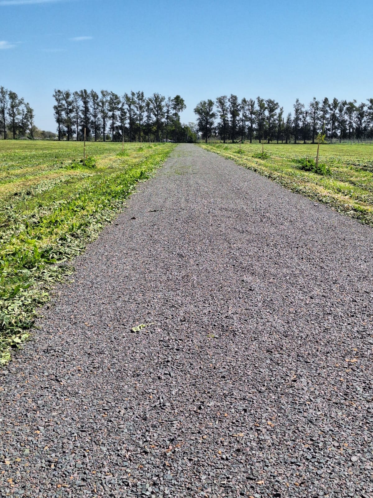 Lote en venta barrio cerrado "Los Pinares"