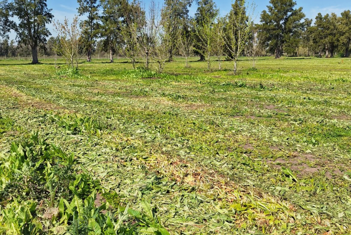 Lote en venta barrio cerrado "Los Pinares"