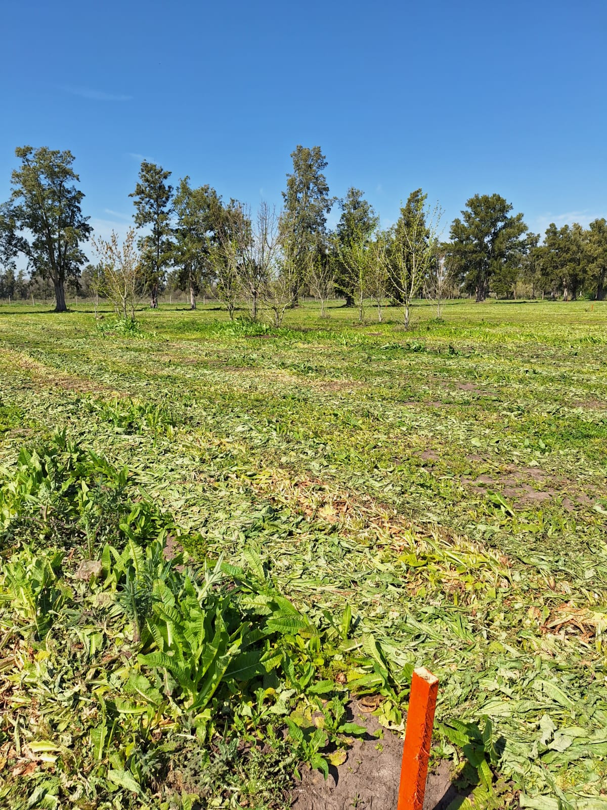 Lote en venta barrio cerrado "Los Pinares"