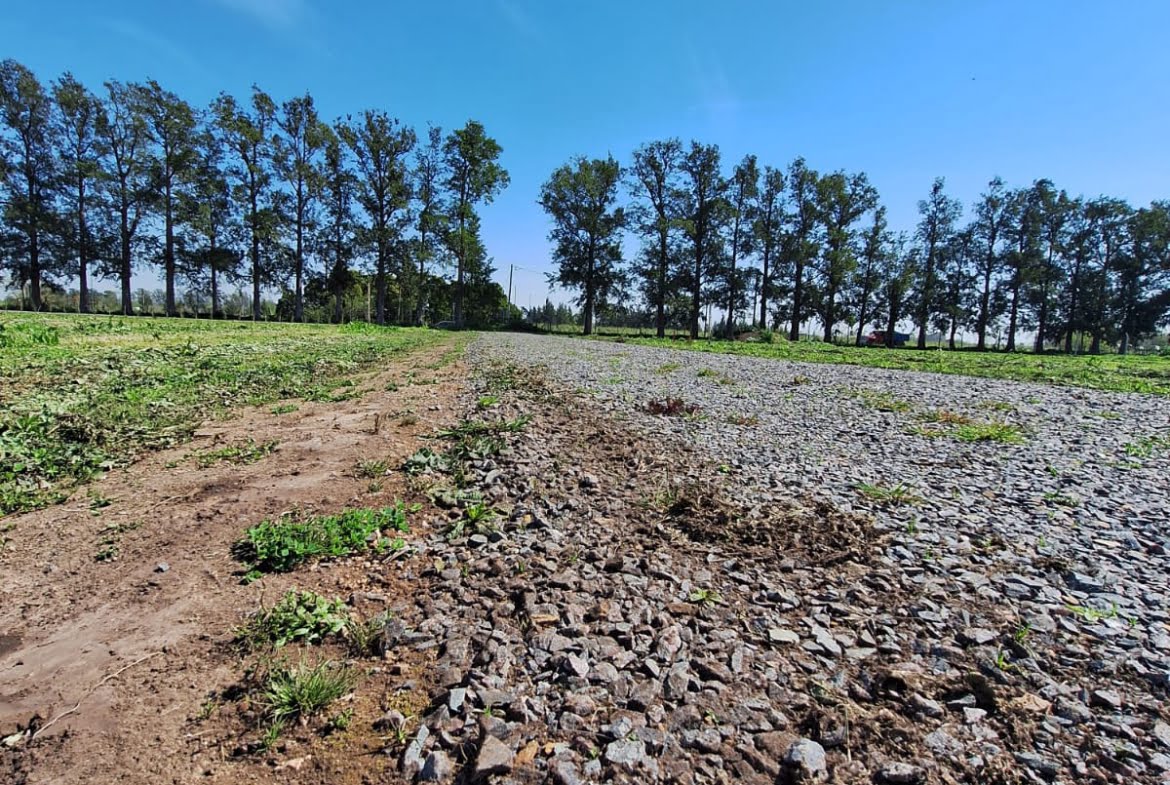 Lote en venta barrio cerrado "Los Pinares"