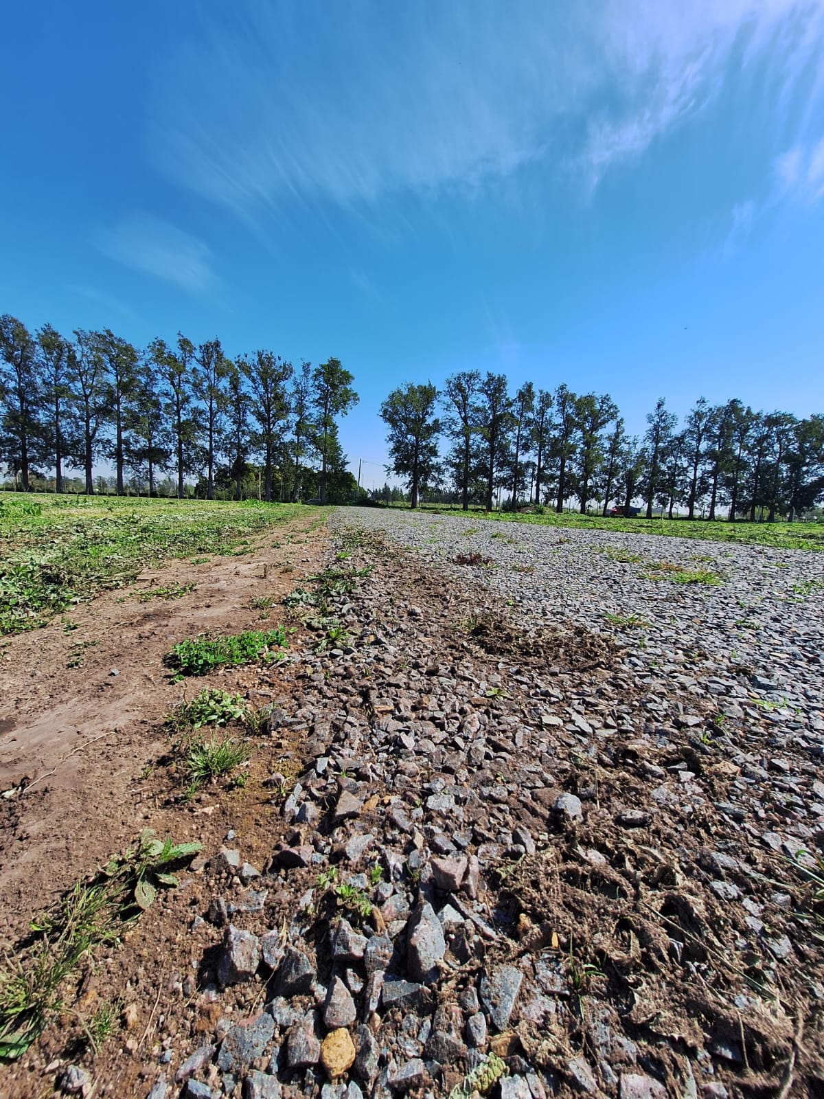 Lote en venta barrio cerrado "Los Pinares"