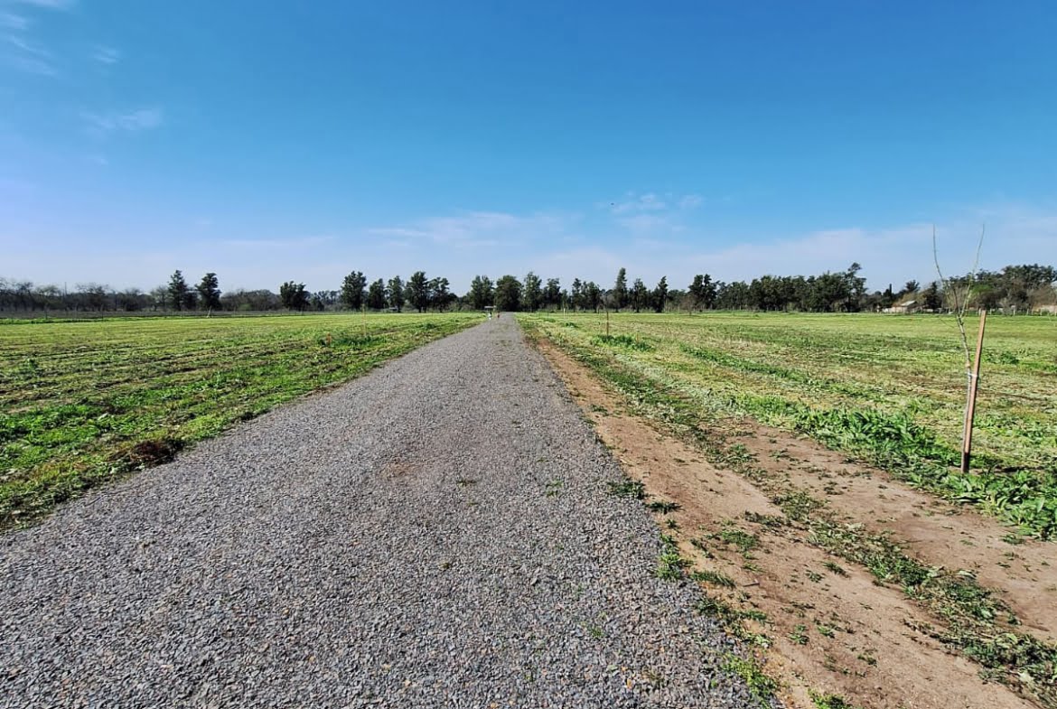 Lote en venta barrio cerrado "Los Pinares"