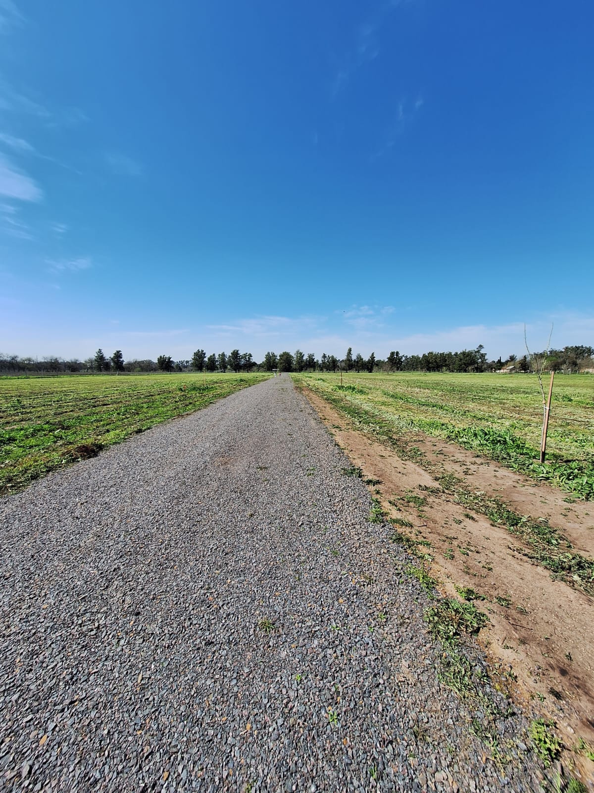 Lote en venta barrio cerrado "Los Pinares"